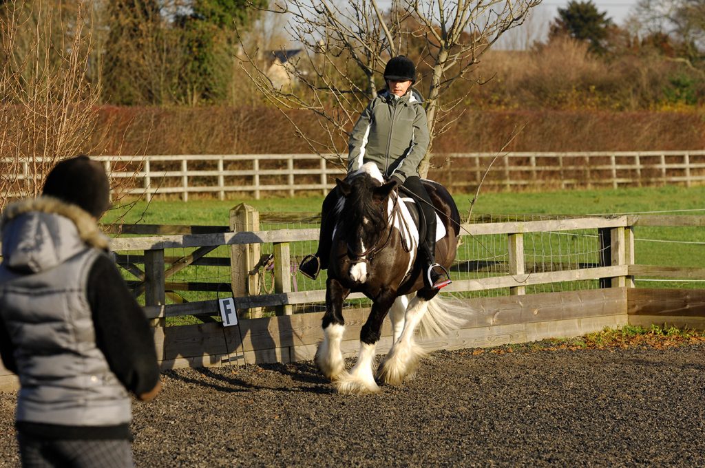Highfeilds Riding School Riding School – Hall Farm Stables